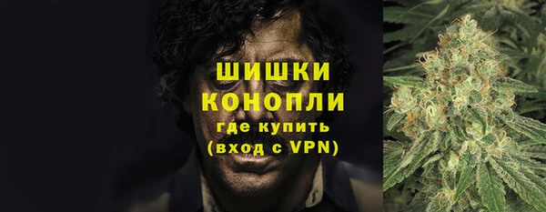 прущие крисы Белокуриха