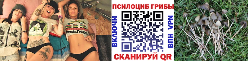 Псилоцибиновые грибы GOLDEN TEACHER  площадка состав  Пестово 